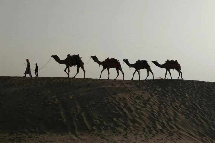 Silhouetten von Menschen, die eine Kamelkarawane über Sanddünen führen